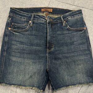 Judy blue Dark Blue Jean Shorts